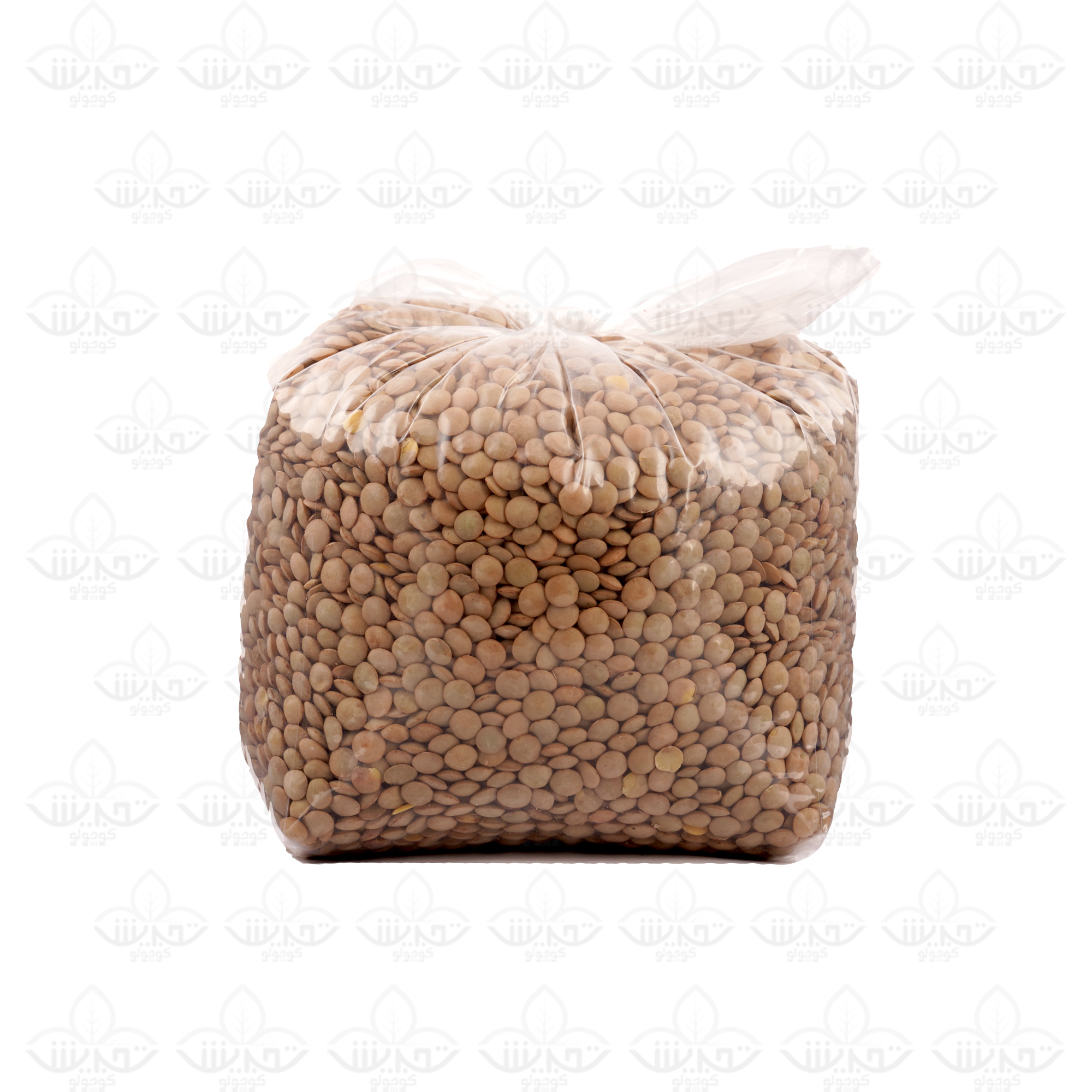 عدس درشت